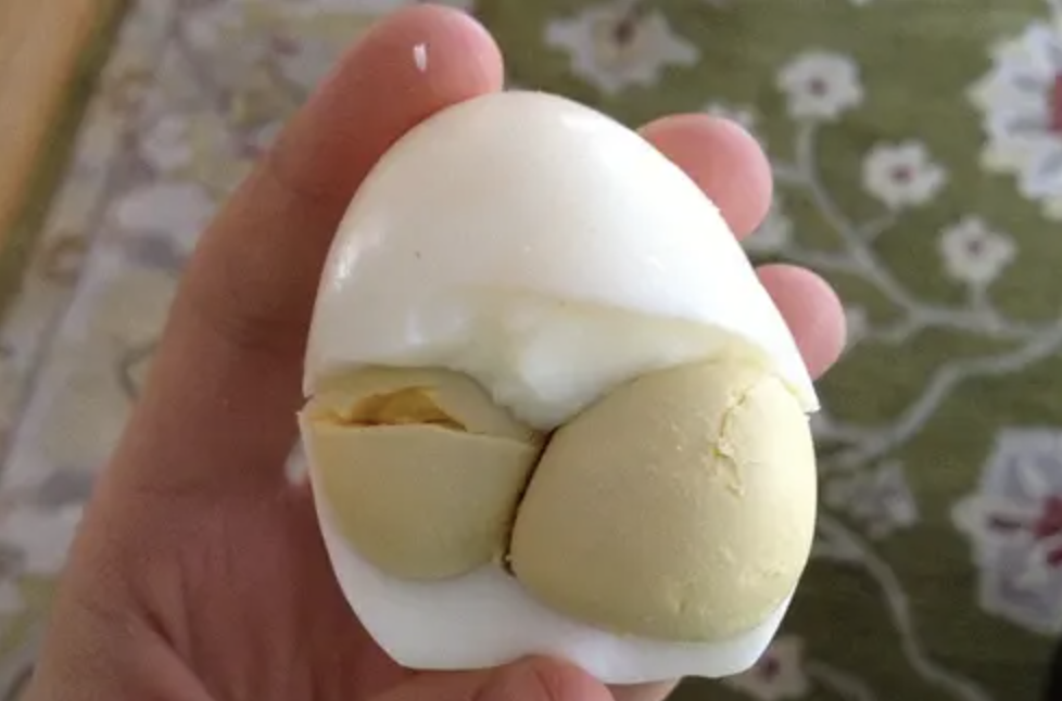 Egg Yolk Lecithin